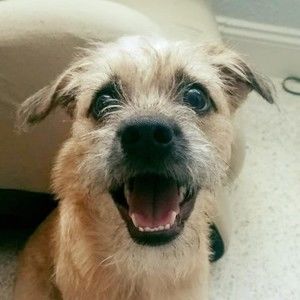 Meet your Posher, Carla